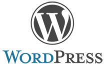 optimize wordpress